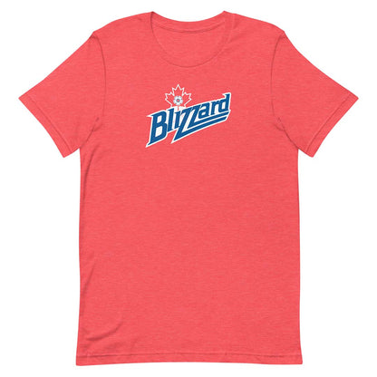 Toronto Blizzard NASL Soccer Unisex Retro T-shirt