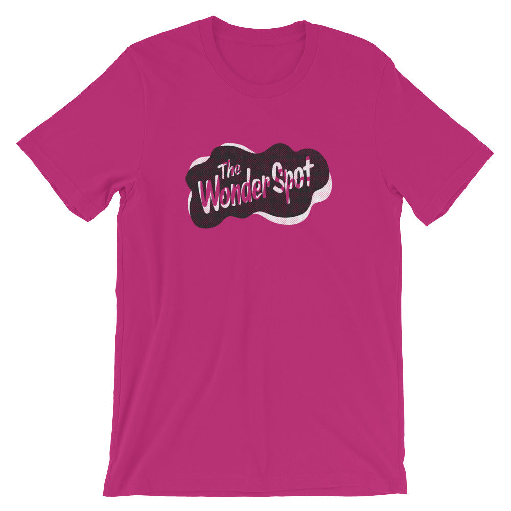 Wonder Spot Wisconsin Dells t-shirt